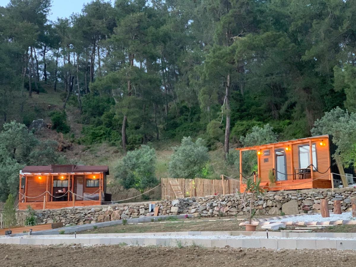 Tiny Mini House Hotel Dalaman Exterior foto