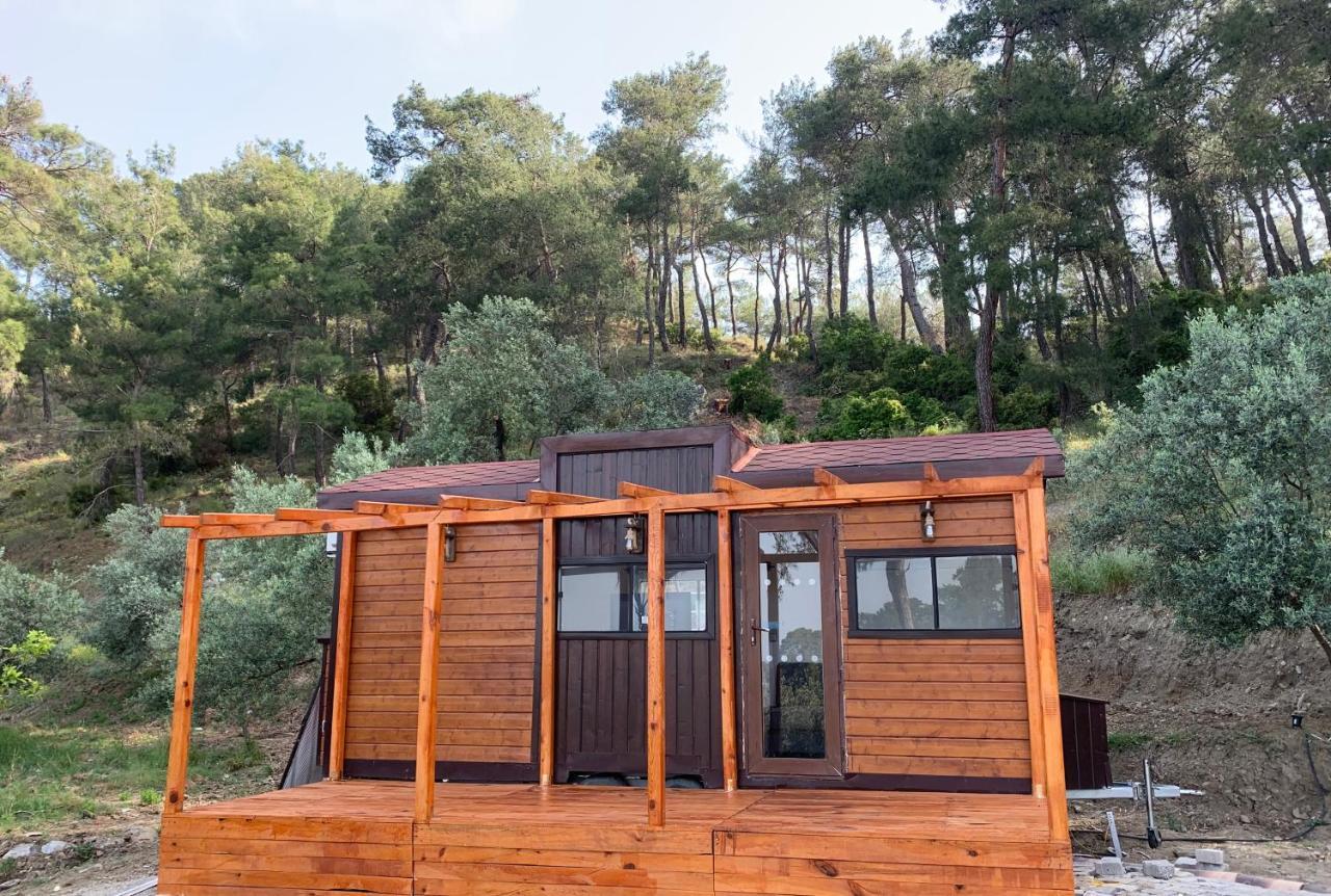 Tiny Mini House Hotel Dalaman Exterior foto