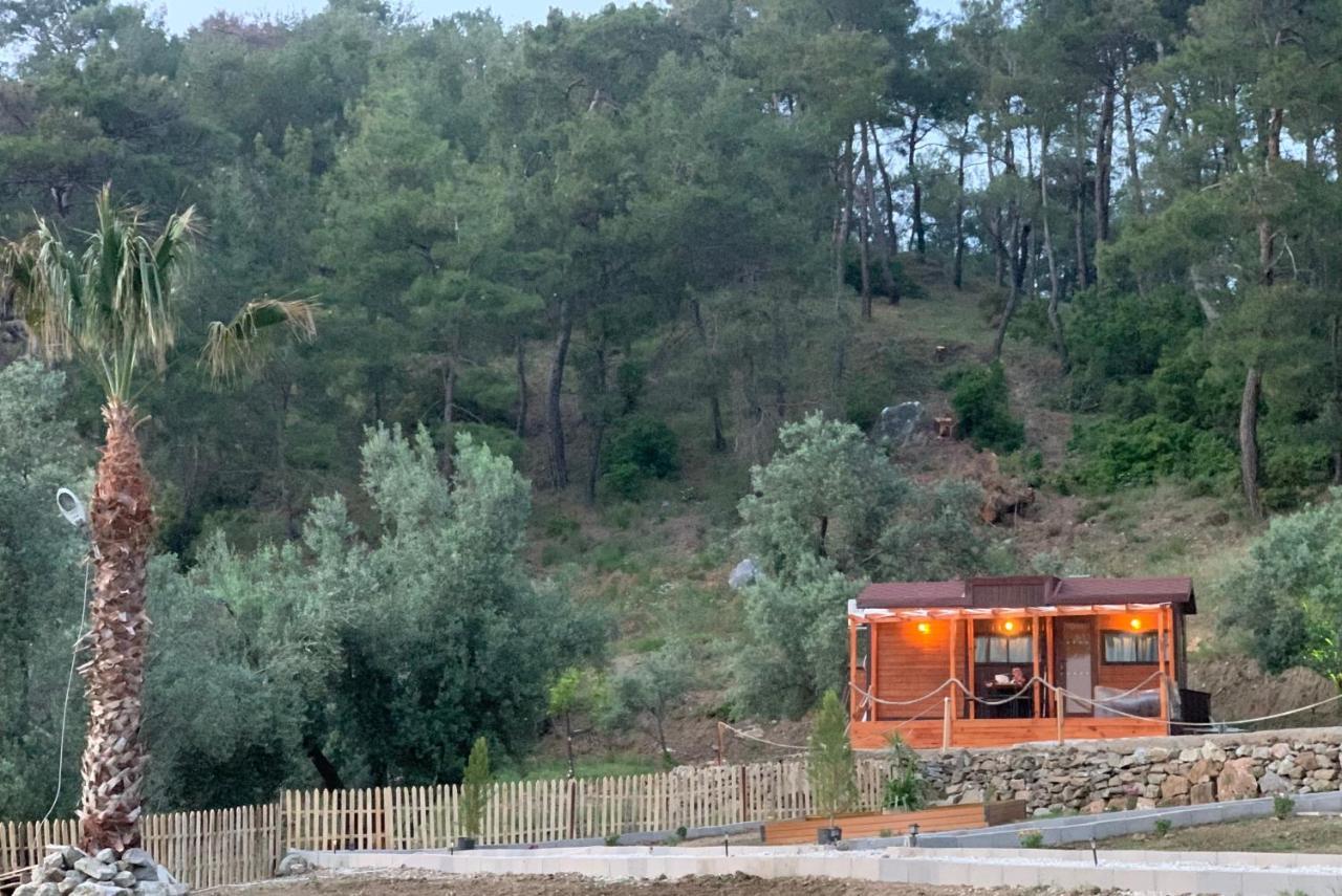 Tiny Mini House Hotel Dalaman Exterior foto