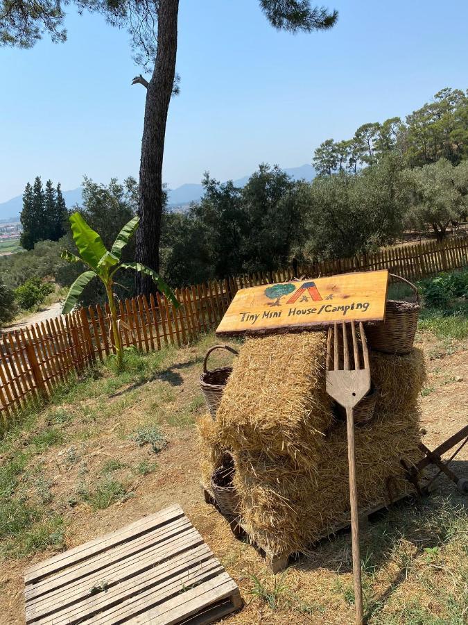 Tiny Mini House Hotel Dalaman Exterior foto
