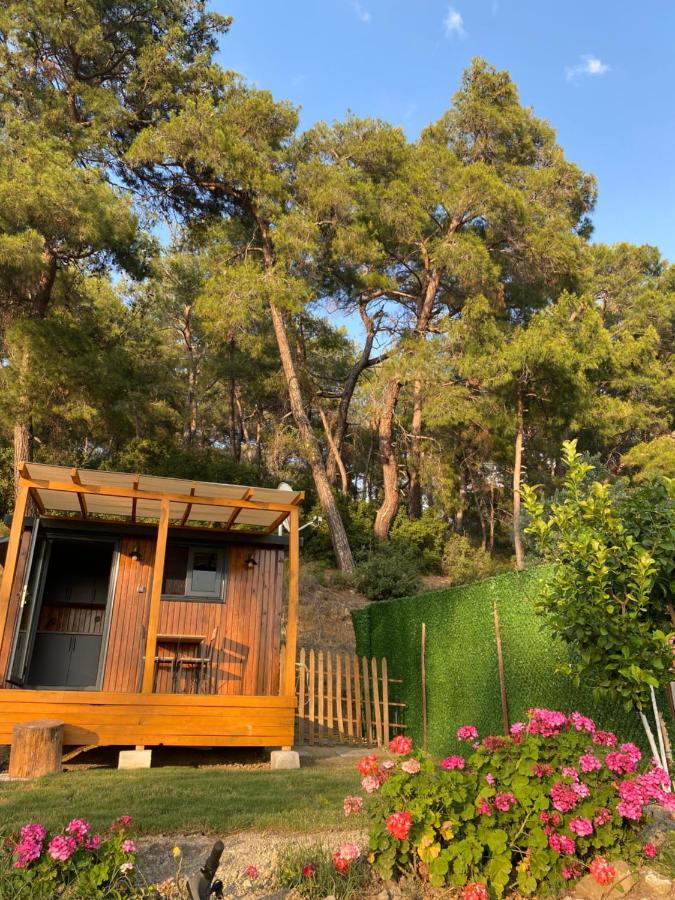 Tiny Mini House Hotel Dalaman Exterior foto