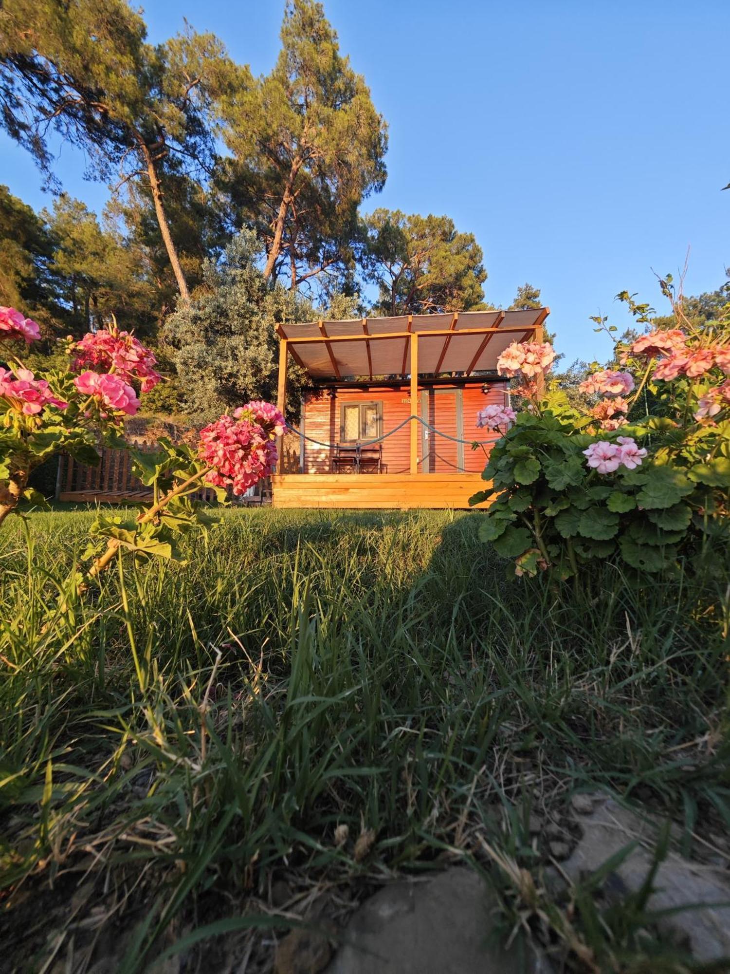 Tiny Mini House Hotel Dalaman Exterior foto