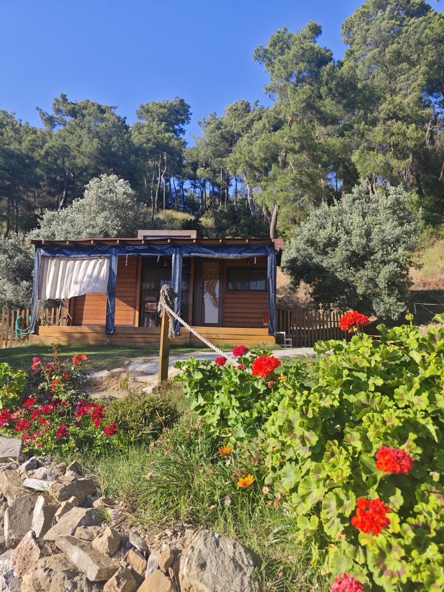 Tiny Mini House Hotel Dalaman Exterior foto